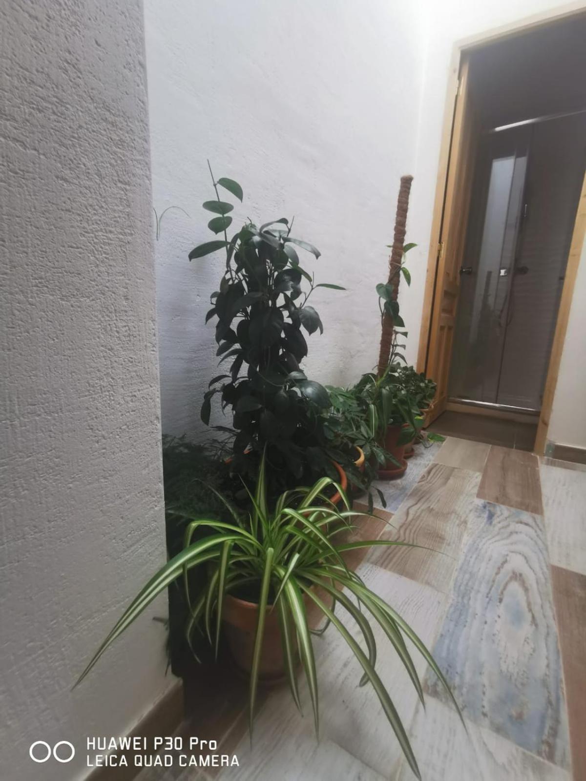 Appartement Cassa Beata En La Colina à Cullera Extérieur photo